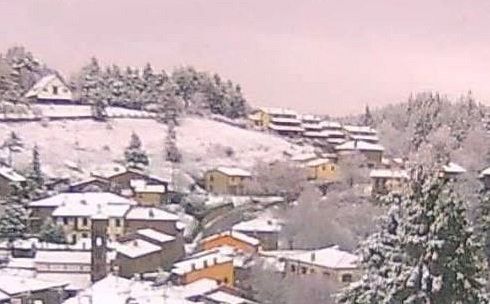 neve consuma